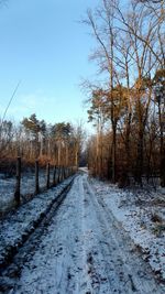 Snow covered trees against sky