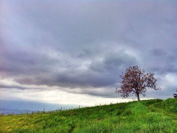 Scenic view of grassy field against cloudy sky