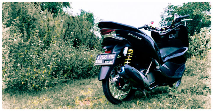 mode of transportation, land vehicle, transportation, plant, day, nature, field, land, motorcycle, outdoors, scooter, tree, auto post production filter, no people, stationary, motor scooter, motor vehicle, side view, growth, grass, wheel