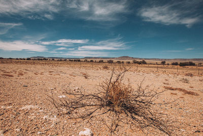 Scenic view of arid landscape against sky