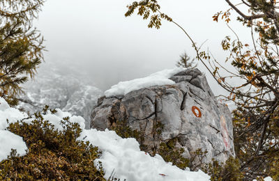Hiking trail marking on rock by snowy path in misty mountains