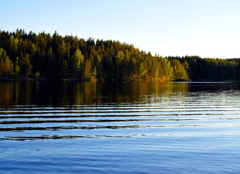 Scenic view of lake in forest against clear sky