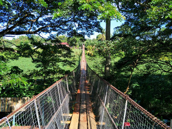 Footbridge over trees