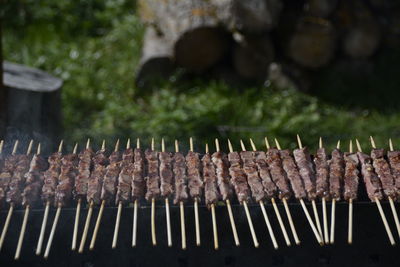 Close-up of meat on barbecue grill