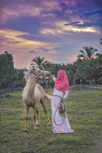 Girl with horse on field against sky during sunset