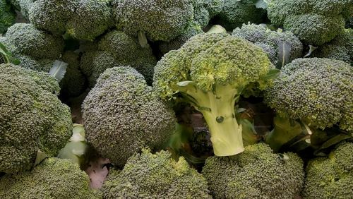 Full frame shot of vegetables for sale