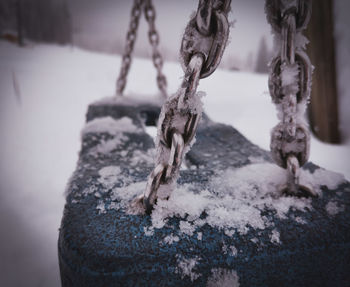 Close-up of frozen tree