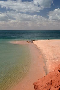 Seascape in françois peron np. shark bay. denham. western australia