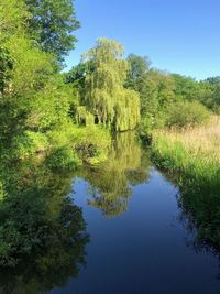 Scenic view of lake against clear blue sky