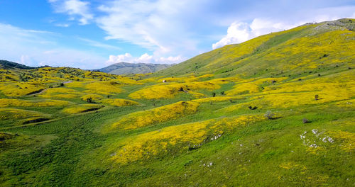 Scenic view of landscape against sky