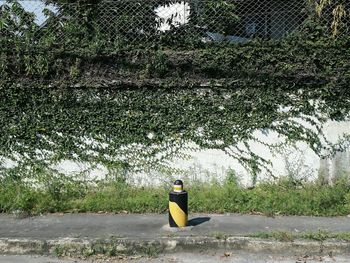 Full length of woman relaxing on bench