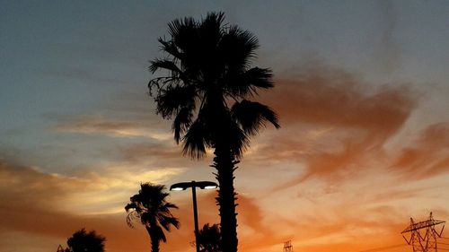 Silhouette of palm trees against cloudy sky