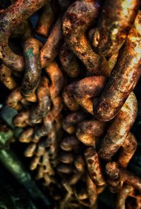 Close-up of rusty metal