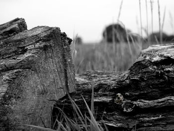 Close-up of barbed wire against clear sky