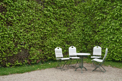 Empty chair and table in garden