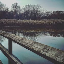 Reflection of trees in lake against sky