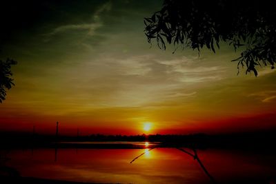 Silhouette trees against sky during sunset