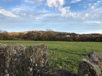 Scenic view of field against sky