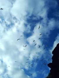 Low angle view of birds flying in sky