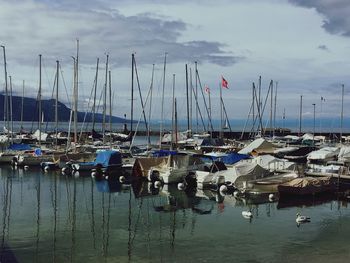 Sailboats moored at harbor against sky