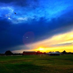 Houses on field against sky at sunset