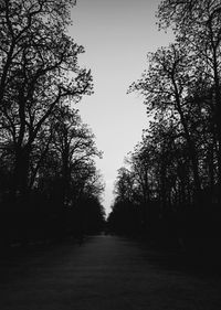 Footpath amidst trees against clear sky