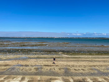 Scenic view of sea against blue sky