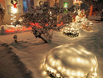 Illuminated christmas tree in winter