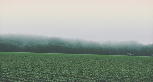 Scenic view of field against sky during foggy weather