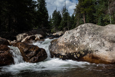 Scenic view of waterfall in forest