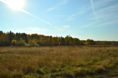 Scenic view of field against sky