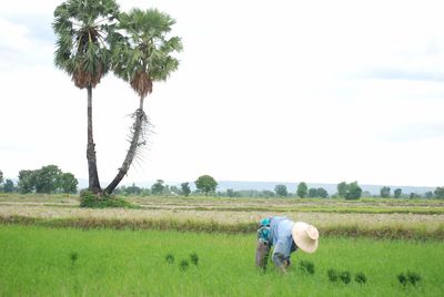 Man working on agricultural field against sky