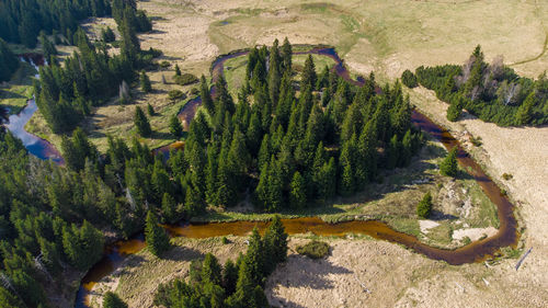High angle view of izera river and forest in mountains of poland and czech republic.