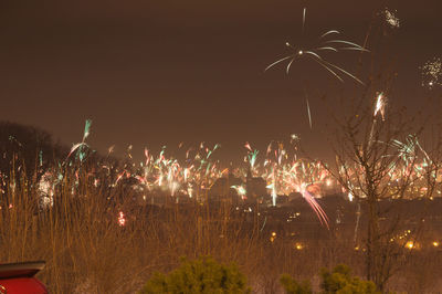 Low angle view of firework display at night