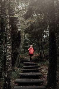 Rear view of woman walking on staircase in forest