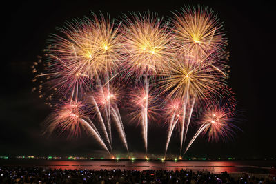 Low angle view of firework display at night