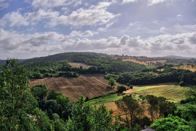 Scenic view of landscape against sky