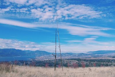 Dead trees on grassy field against sky