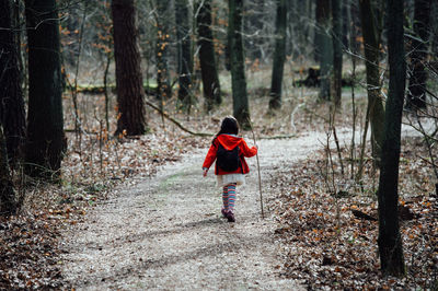 Rear view of girl walking in forest