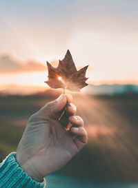 Close-up of hand holding maple leaf against sky during sunset