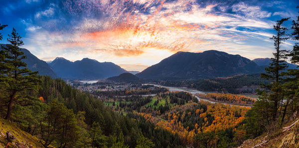 Panoramic view of pine trees and mountains against sky