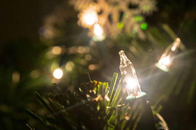 Close-up of illuminated christmas lights