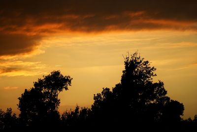 Low angle view of silhouette trees against sky at sunset