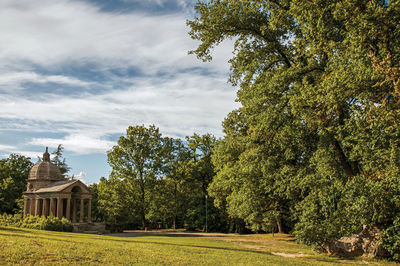 Trees growing on field against sky