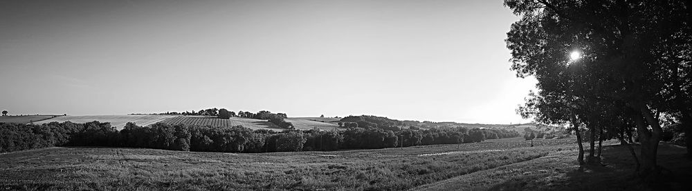 Scenic view of field against clear sky