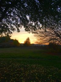 Scenic view of field against sky during sunset