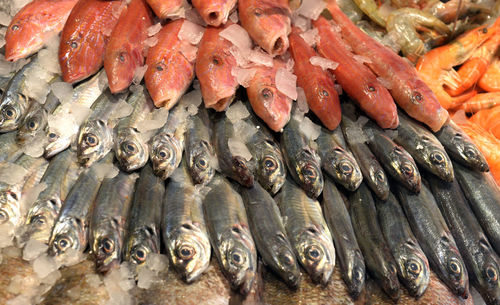 Full frame shot of fish for sale in market