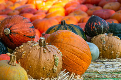 Close-up of pumpkins for sale at market