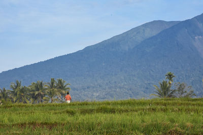 Rear view of man walking on landscape against sky