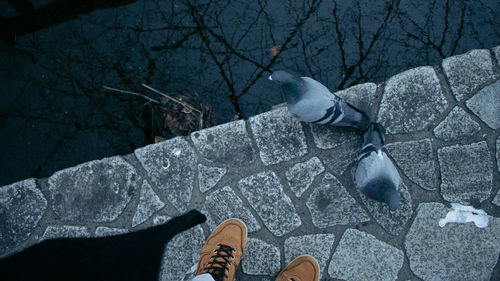 Low section of person standing on tiled floor